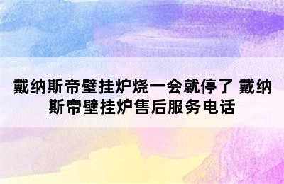 戴纳斯帝壁挂炉烧一会就停了 戴纳斯帝壁挂炉售后服务电话